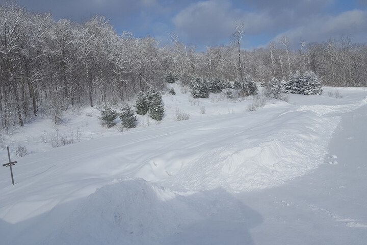 Property Grounds 57 of 64