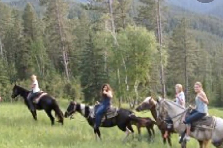Whitetail Creek Resort