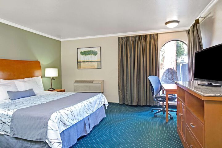 Room 5 of 15
