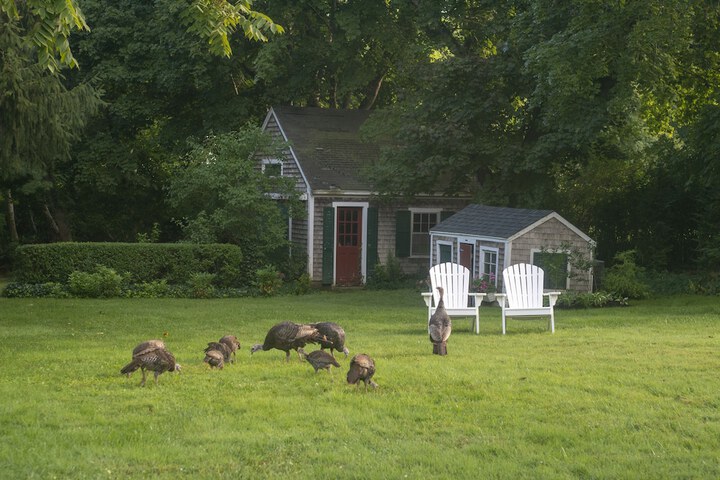 The Village Inn Cape Cod
