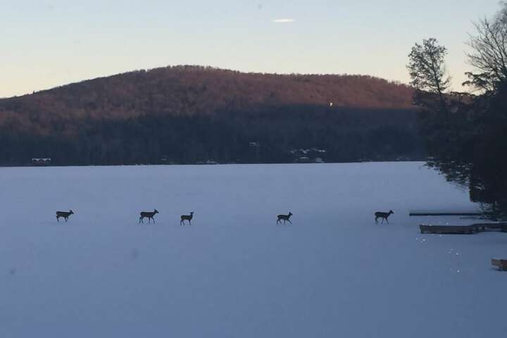 Kiwassa Lake Bed & Breakfast