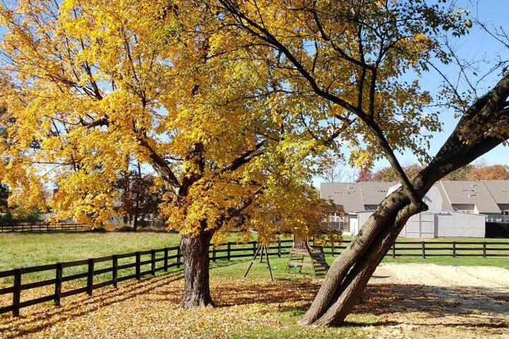 The Rest at Potomac Farms