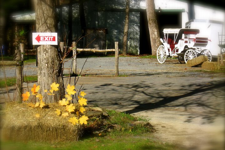 Valle Crucis Farm