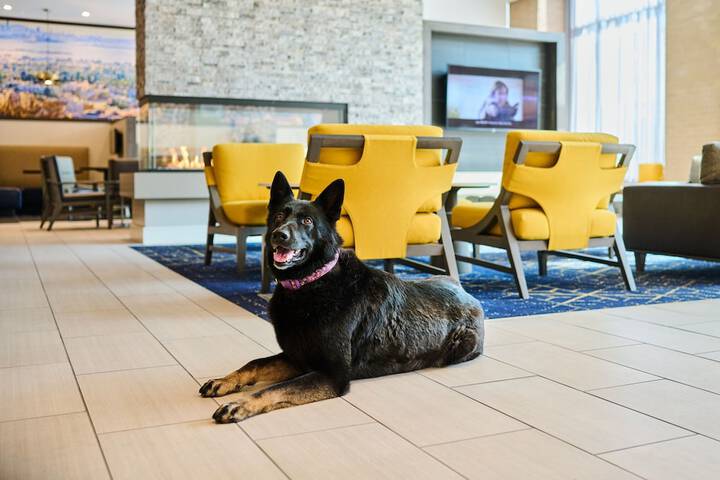 Residence Inn by Marriott Berkeley
