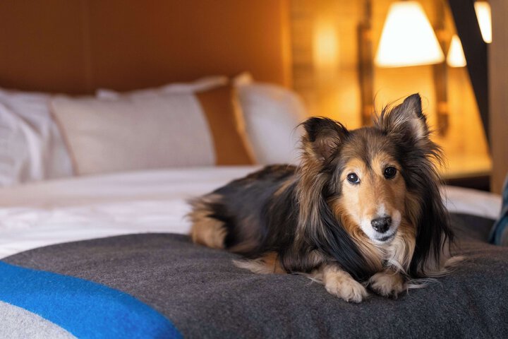 Pet Friendly 130 of 142