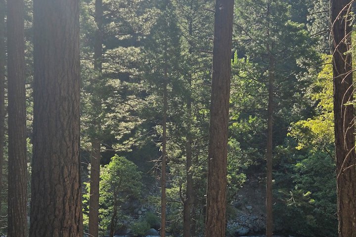 Yuba River Inn