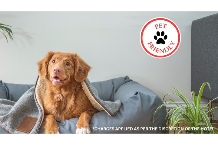 Pet Friendly 49 of 50