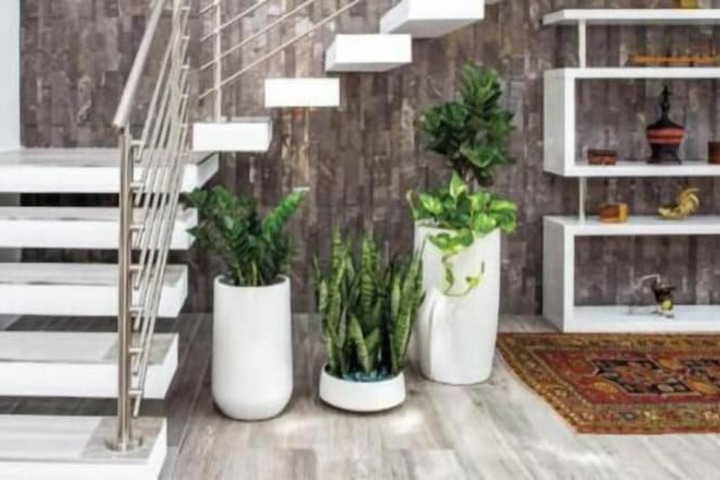 Casa Hermes Wilton Manors