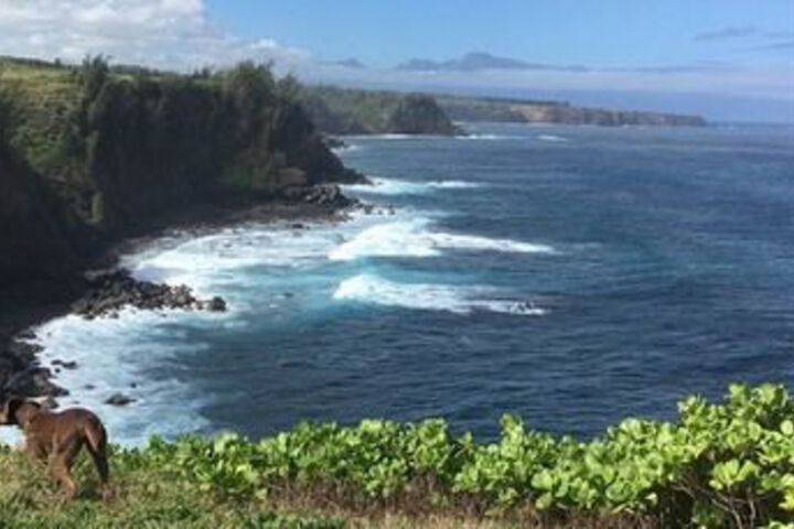 Anuhea Tropical Home