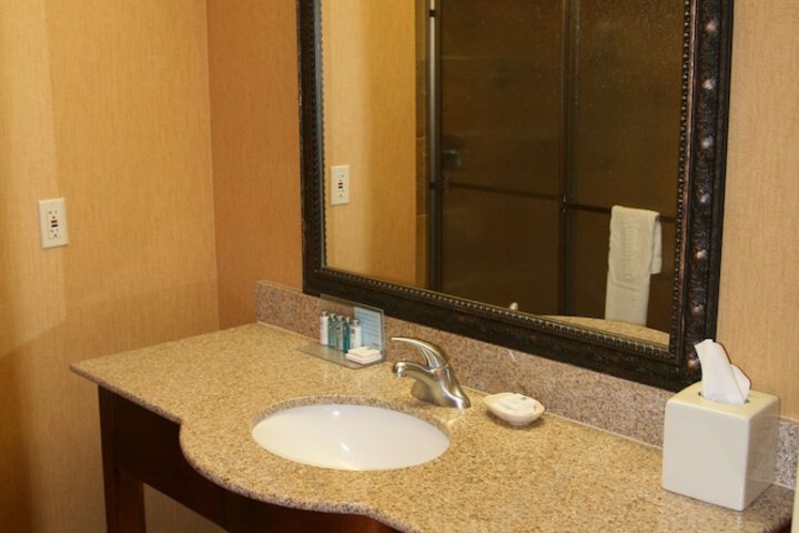 Hampton Inn & Suites McComb