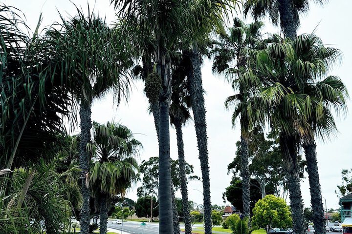 The Pacific Inn