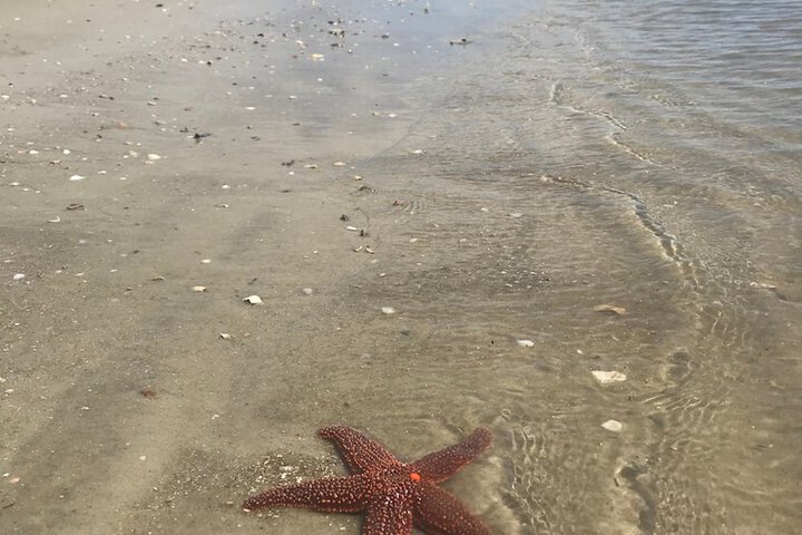 Hotel Tybee