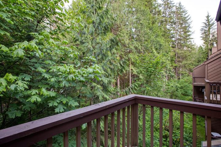 59SW - Fireplace - Dishwasher - Washer / Dryer - Sleeps 6