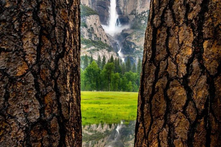 Yosemite Valley Lodge