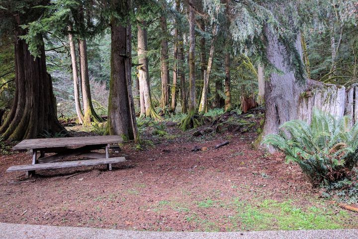 Alexanders Lodge