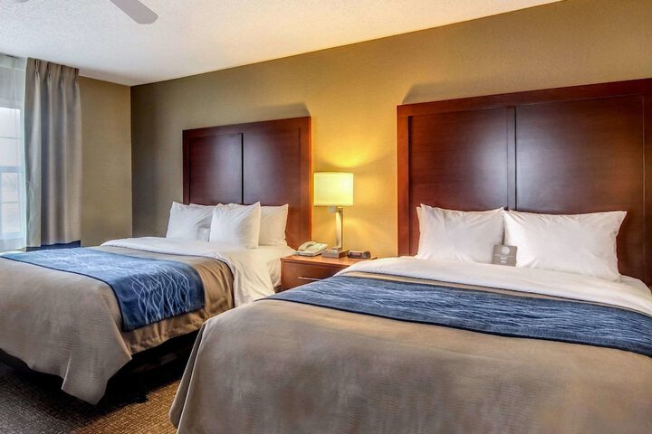 Room 15 of 29