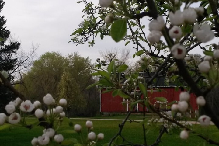 Apple Tree Lane Bed & Breakfast