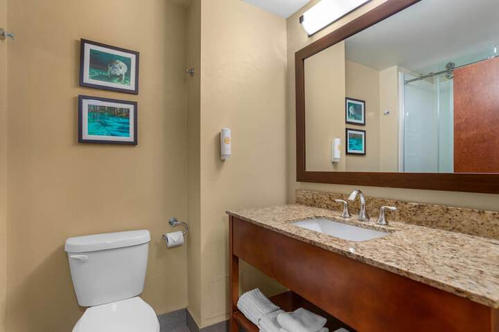 Comfort Suites Tallahassee Capitol - University Area