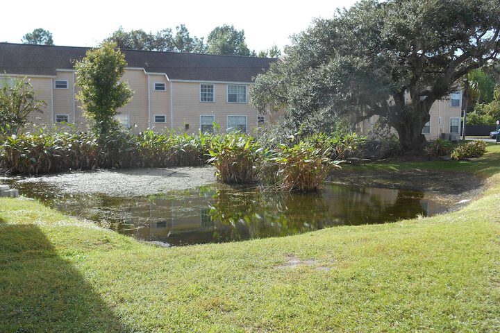 Property Grounds 42 of 49