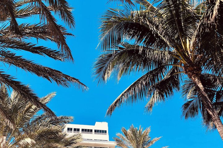 Nobu Hotel Miami Beach