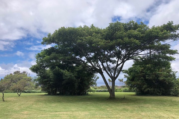 Hotel Exterior 53 of 55