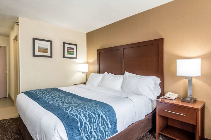 Comfort Inn & Suites - Hannibal