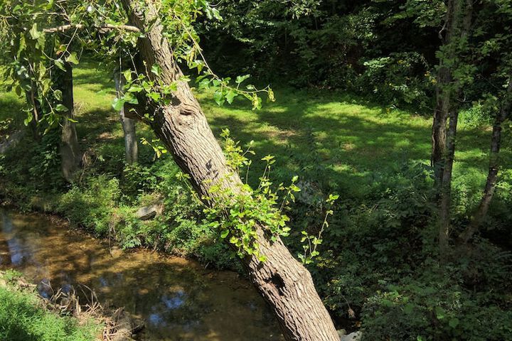 Property Grounds 52 of 53