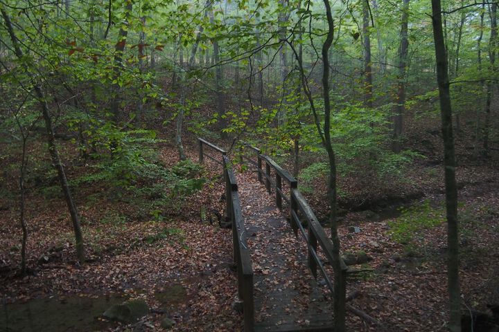 Buckhorn Lake State Resort Park