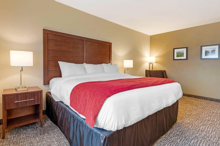 Comfort Inn & Suites Michigan City South