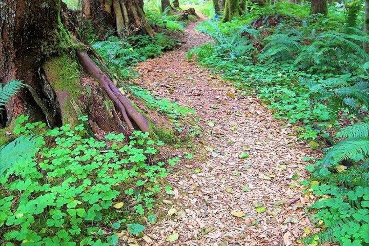 Alexanders Lodge