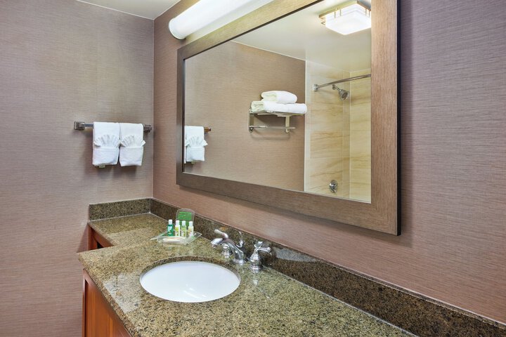 Holiday Inn Washington-Dulles International Airport by IHG