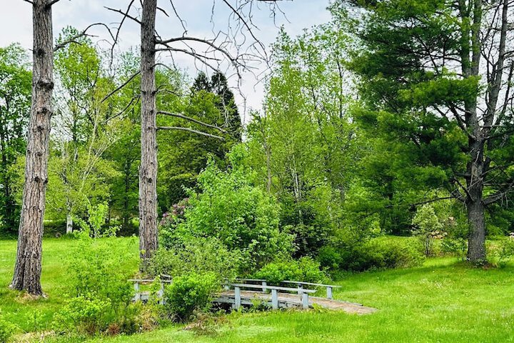 Property Grounds 62 of 65