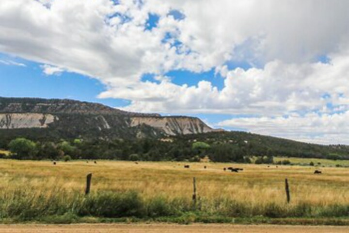 Rustler s Roost Ranch