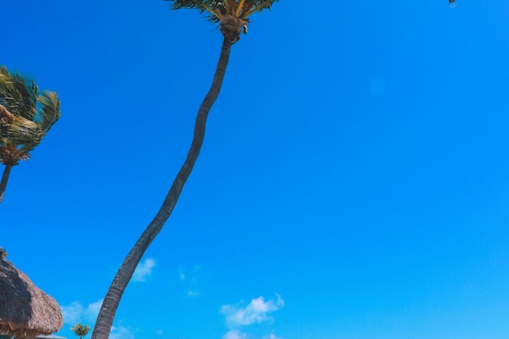Beach 159 of 198