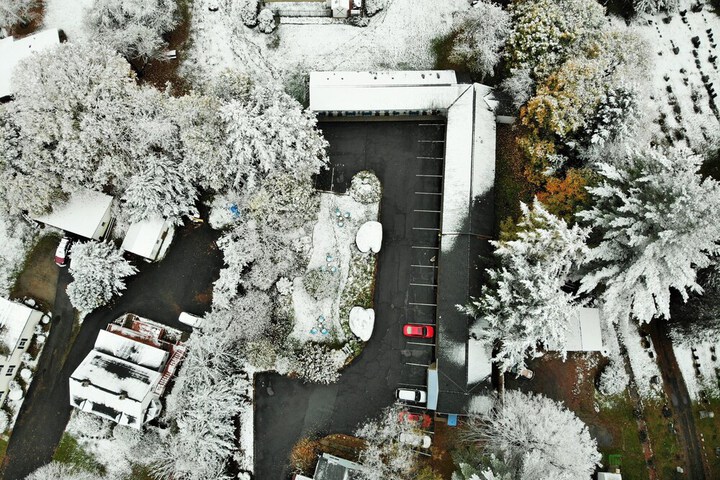 Maple Terrace Motel