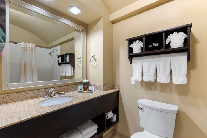 Best Western Plus Arlington North Hotel & Suites