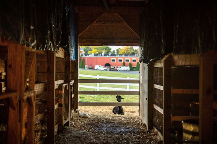 Hersey Farm Resort