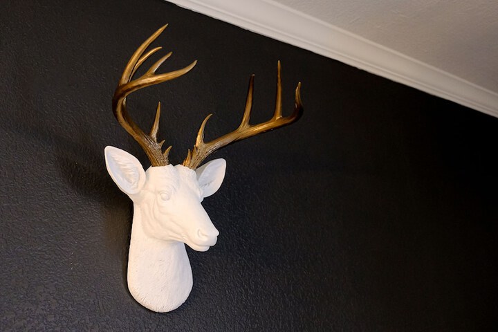 Room 20 of 57