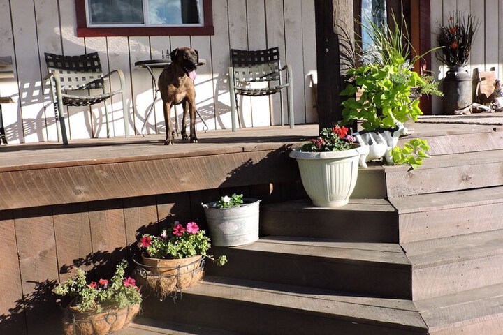 Terrace/Patio 19 of 29