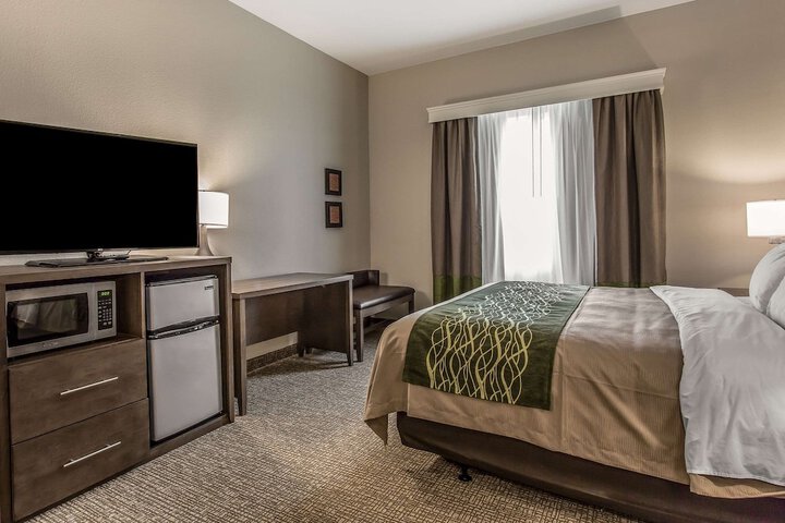 Comfort Inn & Suites Snyder