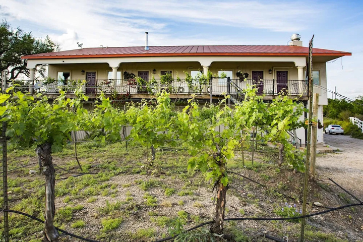 The Vineyard B & B at Lost Creek Ranch