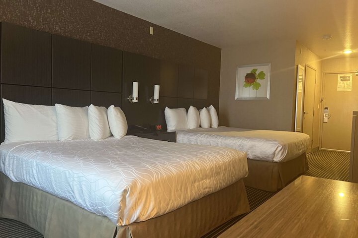 Room 12 of 35