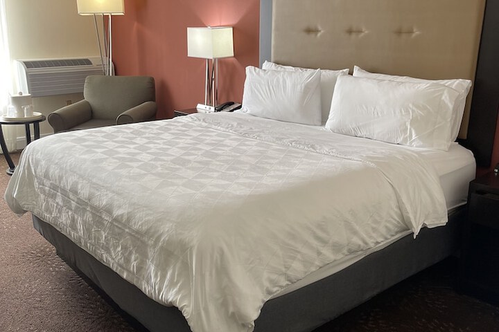 Holiday Inn Tyler-Conference Center by IHG