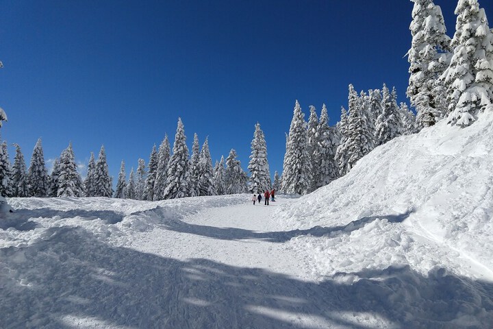 Callahans Mountain Lodge