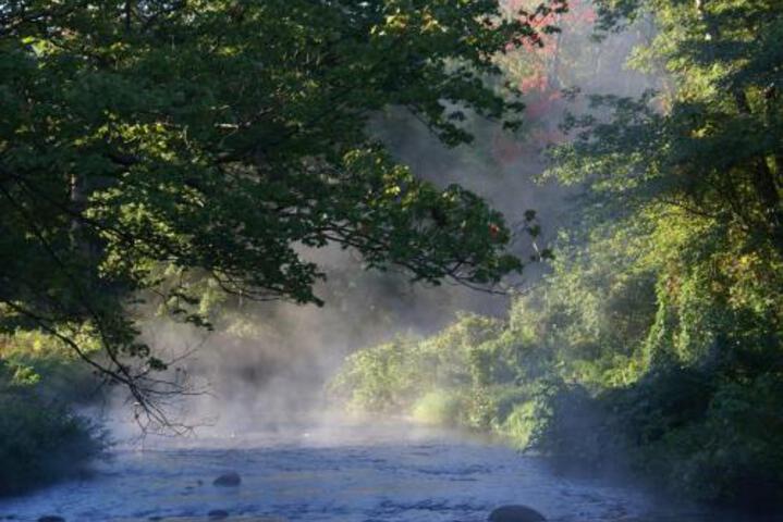 Little River Bed and Breakfast