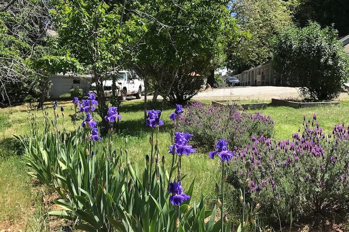 The Pines Inn and Cottages