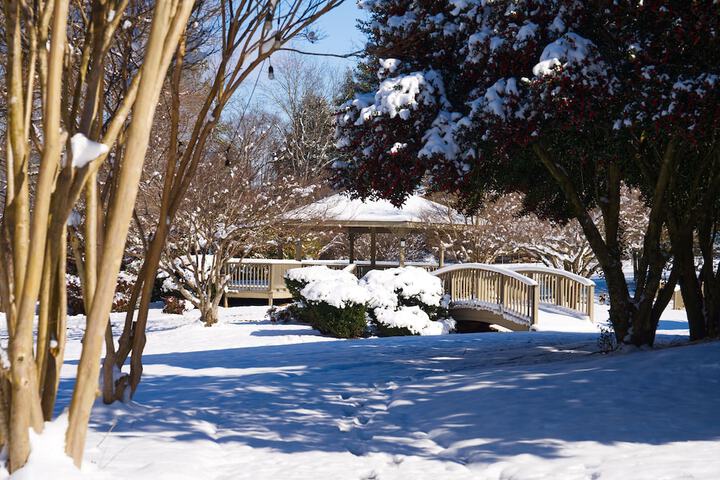 Tremont Lodge & Resort