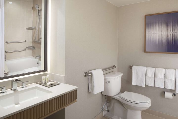 Hilton Anatole