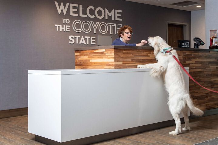 Hampton Inn & Suites Rapid City Rushmore