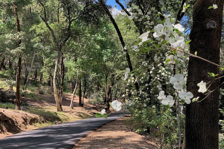 Meadowood Napa Valley
